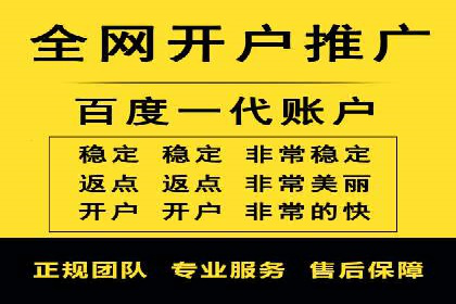 百度SEM广告投放的创意与执行：成功案例详解